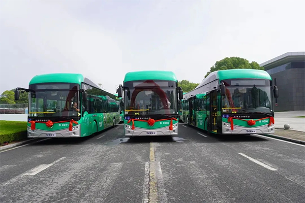 120 New Energy Buses